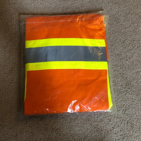 Pioneer - Picture 2 of 2